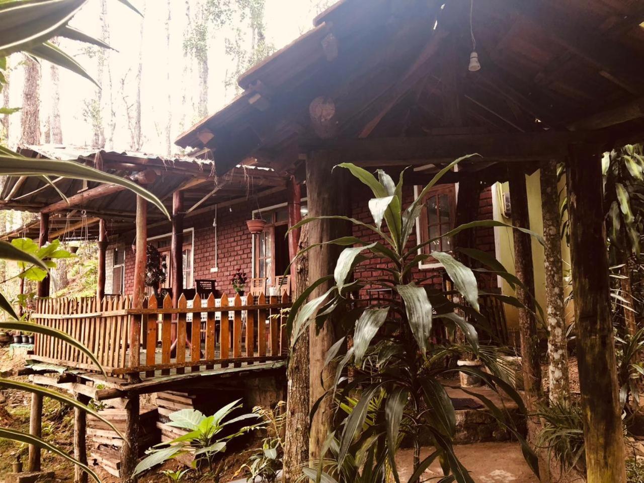 Green Heaven Lodge Ella Buitenkant foto